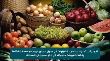12 جنيهًا.. تحديث أسعار الخضراوات في سوق العبور اليوم الجمعة 29-8-2025 يكشف تغييرات ملحوظة في الكوسة وباقي الأصناف